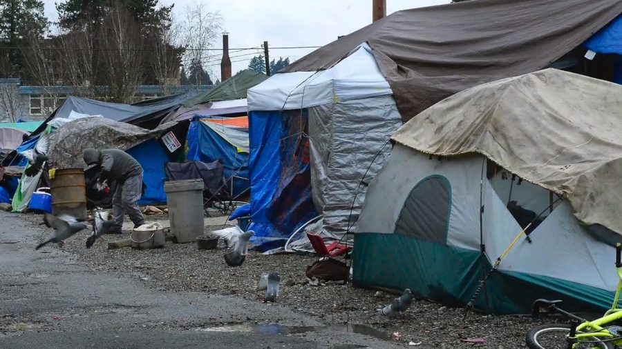 homeless camp in pierce county