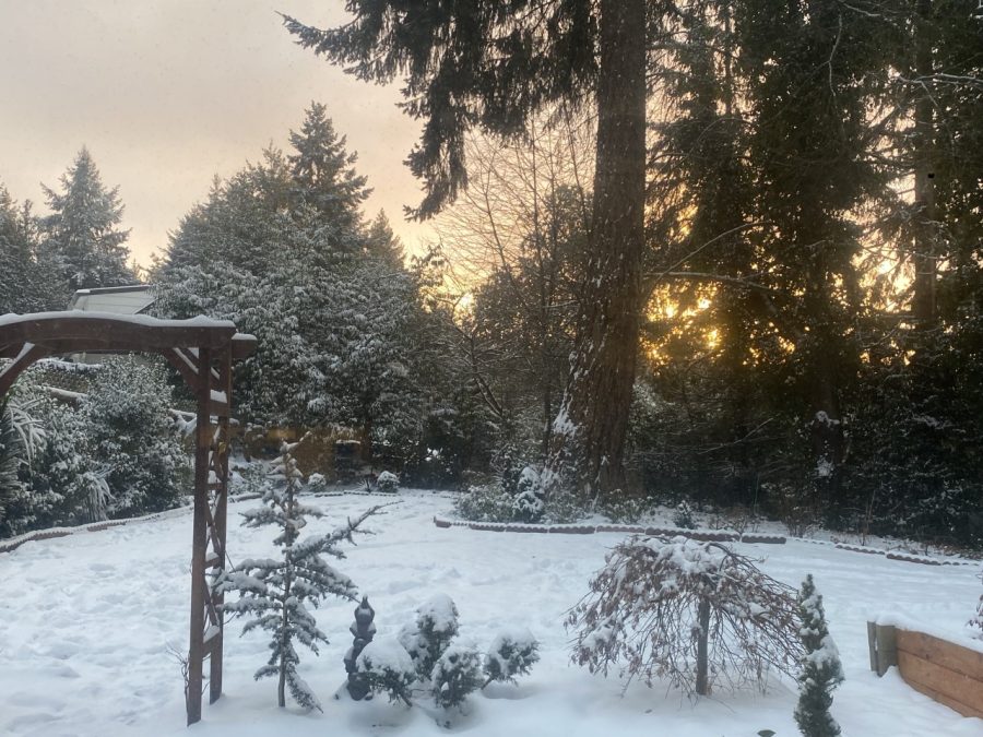 Washington+Winter+Snow