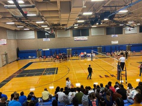 Volleyball game