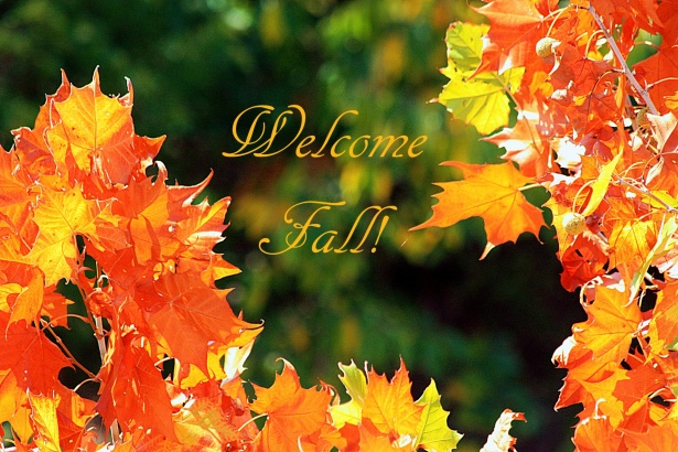 Fall+is+Here%21%21