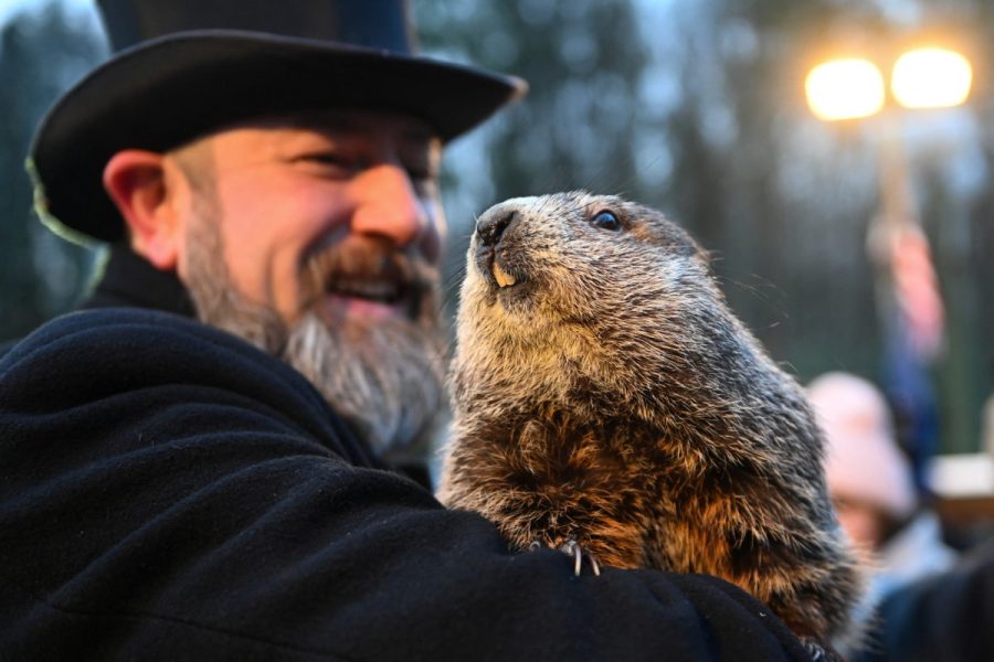 picture+of+Punxsutawney+Phil+being+held+by+owner