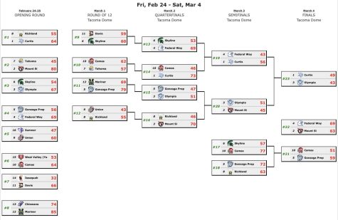 2023 WIAA Basketball Tournament Bracket