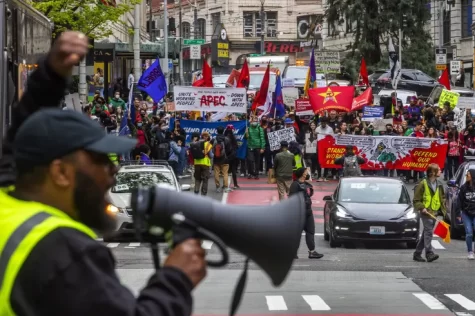 people protesting in the street.