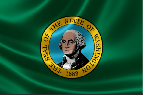 Washington state flag