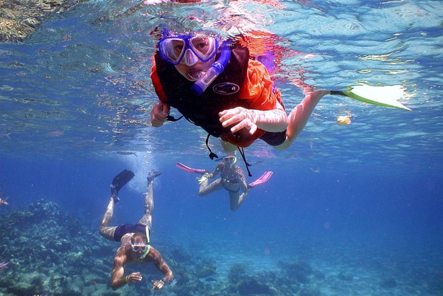 people snorkeling underwater.