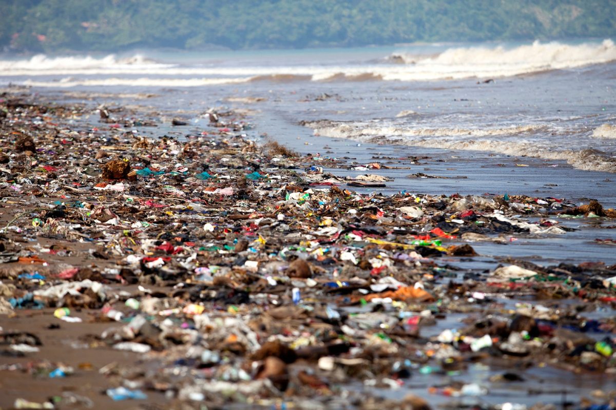 Plastic+In+Our+Oceans