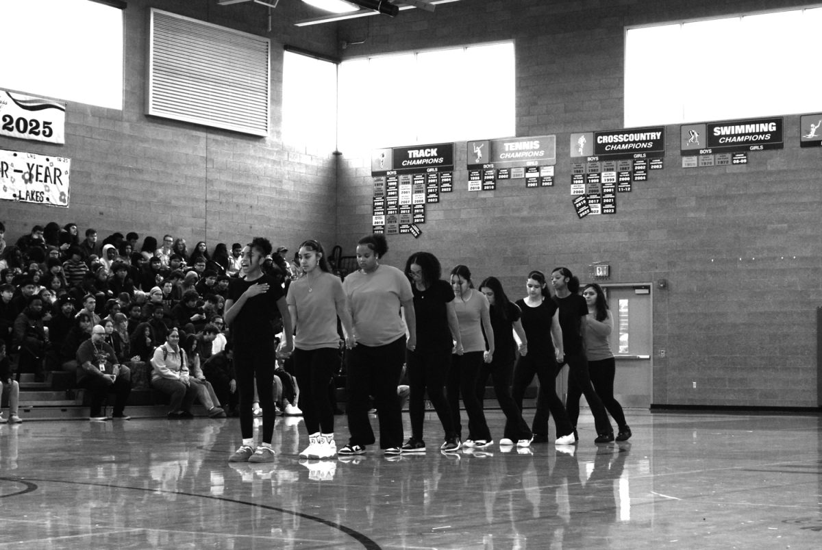 Step Team performing a dance that depicted the emotions of the African people when they were stolen from their land. The dance came alive in story form and demonstrated how the art of Step has evolved over the years in America.